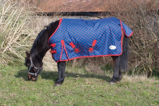 dottie lighteright pony rug EMS Equestrian
